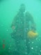 Thumbs/tn_Oct 28, 2006 BTW Fun Dive 255.jpg